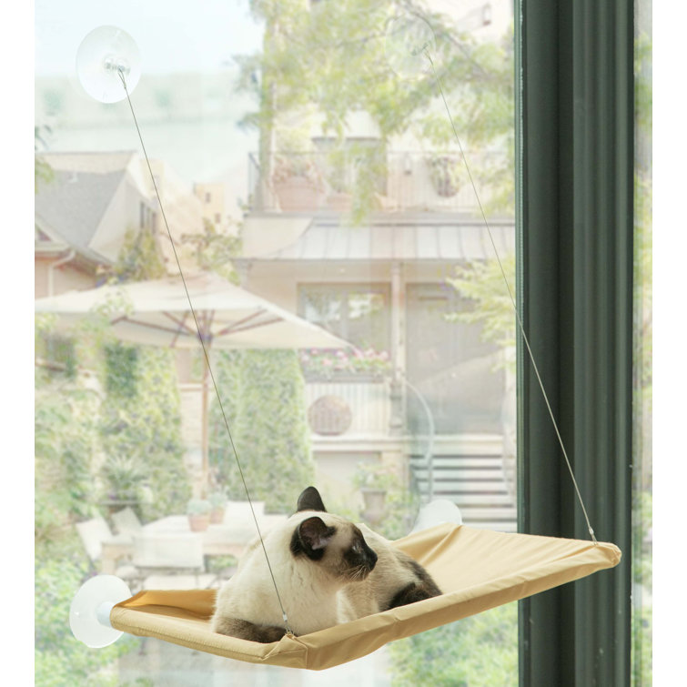 Tucker Murphy Pet™ Eliza Specialty Cat Bed & Reviews Wayfair.ca